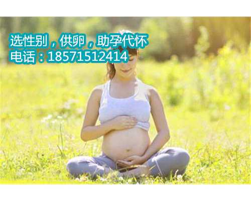北京供卵流程 一个新的生育选择