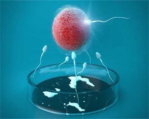 代孕网-做代孕过程是怎样-代孕初能不能吃茄子