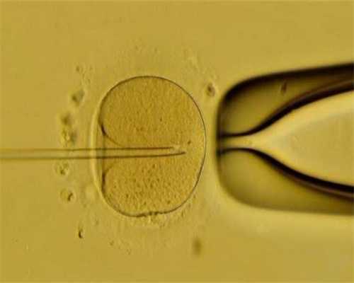卵巢储备:试管婴儿取卵多长时间要用精子_试管婴儿移植前注意事项_供胚移植试