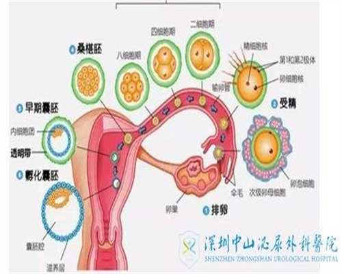 郑州代孕地址_靠谱的代怀孕哪家好_提供代怀孕机