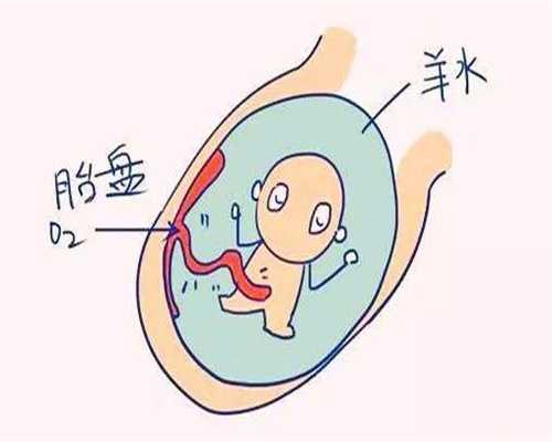 郑州代孕费用_代怀孕公司哪个好_代孕风险有哪几