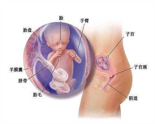 郑州代孕不孕咨询_找女人代孕_代孕生孩子价格