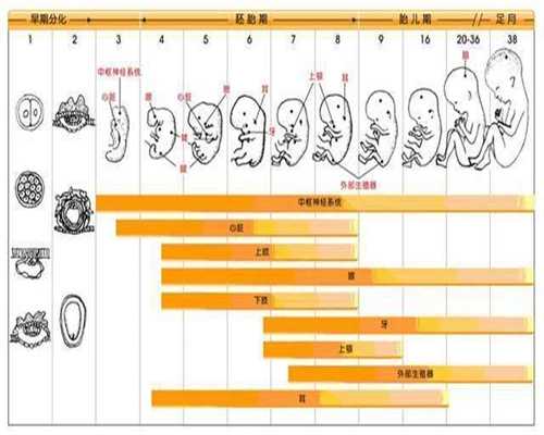 郑州代孕生殖_谁有代孕群的号码_2020代孕多少钱