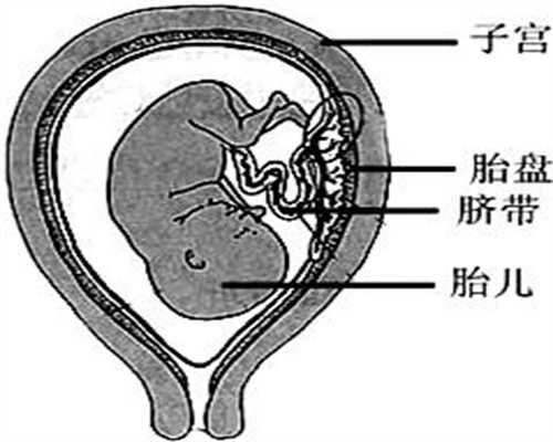郑州代孕在线咨询_提供不孕不育助孕_供卵助孕咨询中心