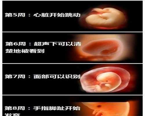 郑州代孕网_哪里代孕的费用低_代孕几次能成功