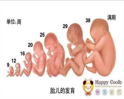 郑州代孕地址_专业代怀孕双胞胎_代孕价钱