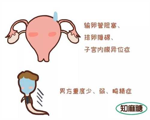 【上海仁济北院生殖中心有供卵吗】分享我的艰难备孕路，希望在未来的路上能