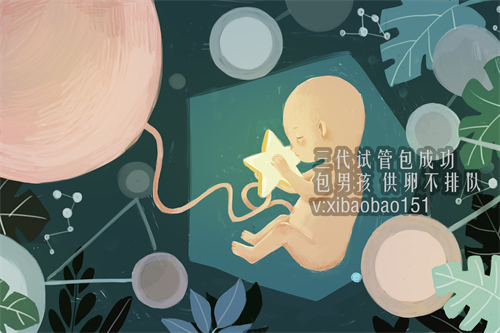 两个女生骨髓生孩子：泰国试管想成功，胚胎移植“三要素”不可忽视