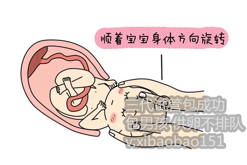 北京供卵的医院_衡阳试管婴儿医院排名如何，应该如何进行选择？