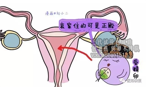 中国同性怎么生孩子：为何很多女人会第二次宫外孕？多半跟两个原因有关
