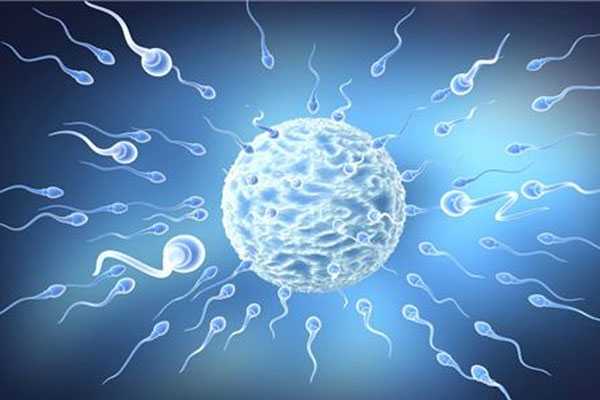 女同试管婴儿费用：长期禁欲培育优质精子的方式是不可取的，优质精子的6大