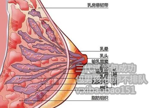 北京供卵代生宝宝，没有月经了，57岁大龄做试管婴儿成功率有多高？