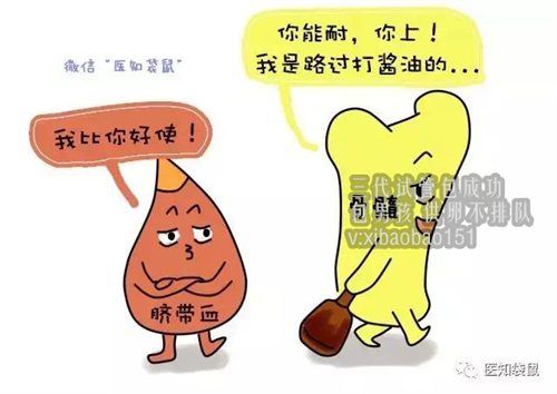生命奇迹！北京协和医院帮助先天性阴道、宫颈闭锁合并盆腔脓肿患者诞下健康