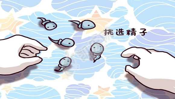 青岛有偿捐卵机构联系方式,北京精子库在哪个医院