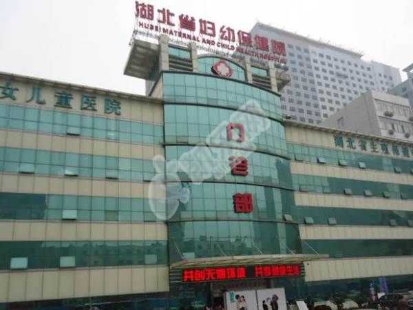 北京医院有代怀吗,在三亚有做试管婴儿的医院吗