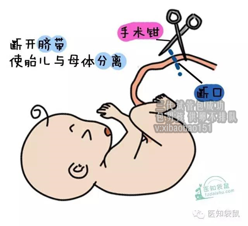 北京拉拉骨髓生子案例，分泌物少是什么原因？会影